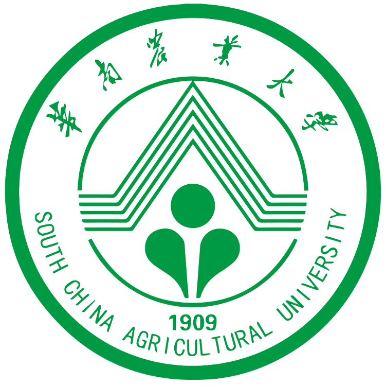 22届cuba男子二级决赛 北京大学vs华南农大-正在直播